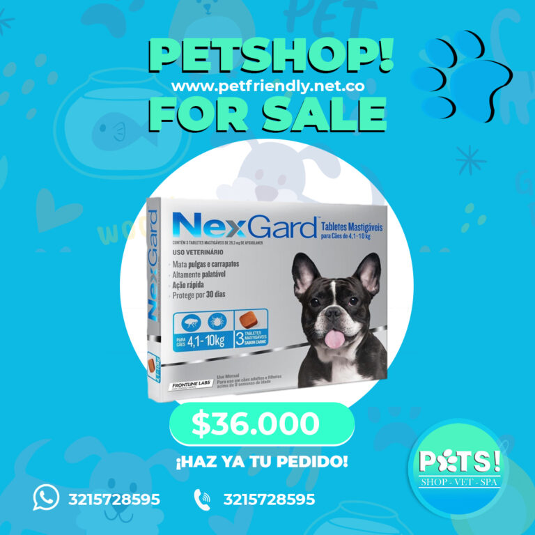 PetsfeedPetshop2