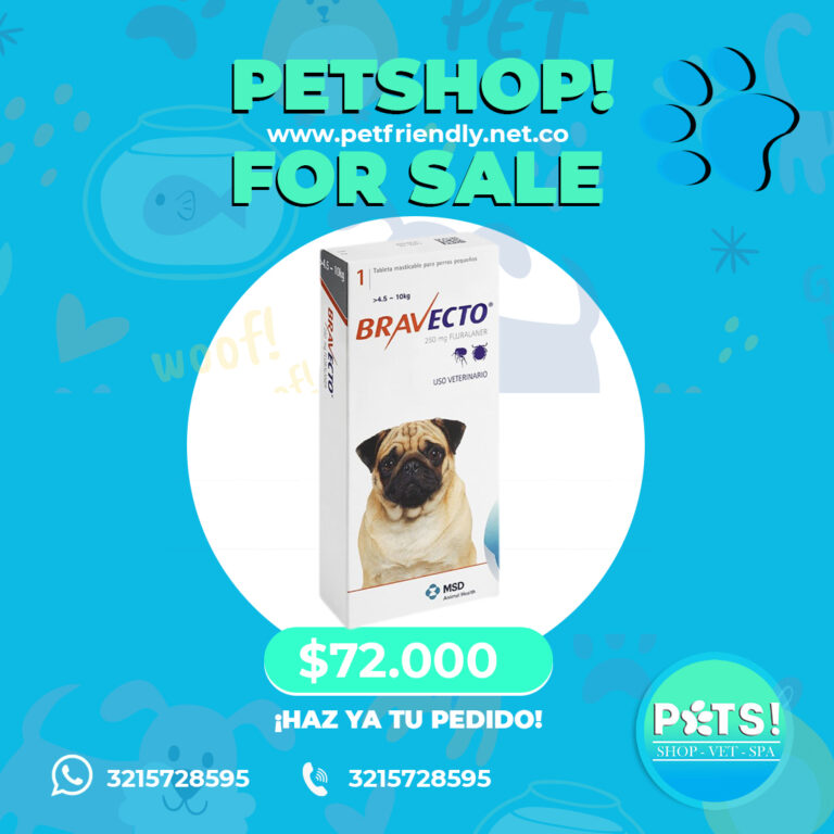 PetsfeedPetshop3